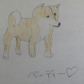 犬の形ができました!! 犬の形ができました!!
