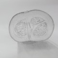 カボチャと貝殻 カボチャと貝殻