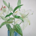 白いゆりを描く 白いゆりを描く