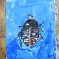 虫の標本を描いてみよう 虫の標本を描いてみよう