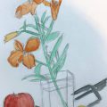 お花と野菜果物、想定デッサン お花と野菜果物、想定デッサン