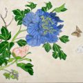 お花の日本画と鳥の想定画(デッサン絵画木曜クラス) お花の日本画と鳥の想定画(デッサン絵画木曜クラス)