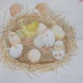卵の想定画、夏のピクニックの静物画(デッサン絵画木曜クラス) 卵の想定画、夏のピクニックの静物画(デッサン絵画木曜クラス)